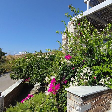 Aeolia Villas Karystos  Ngoại thất bức ảnh