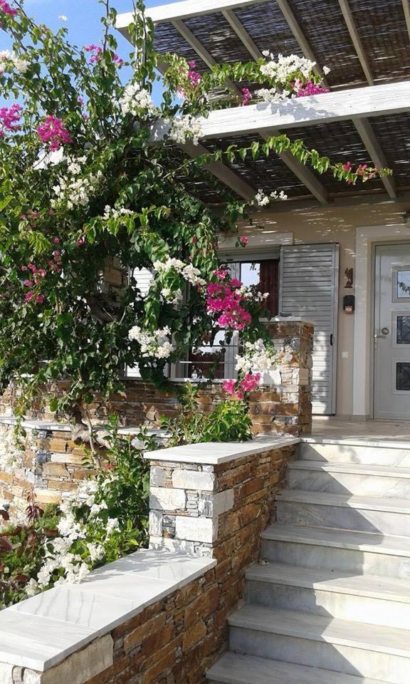 Aeolia Villas Karystos  Ngoại thất bức ảnh